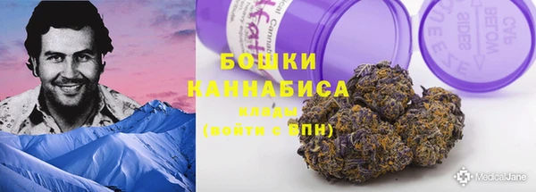 apvp Арсеньев