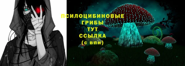 тгк Аркадак