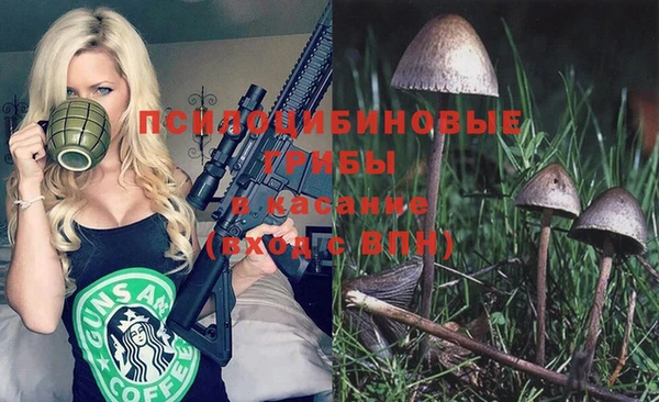 тгк Аркадак