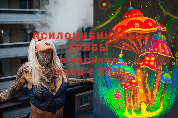 тгк Аркадак