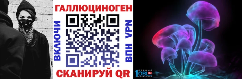 Галлюциногенные грибы Psilocybine cubensis  Бакал 